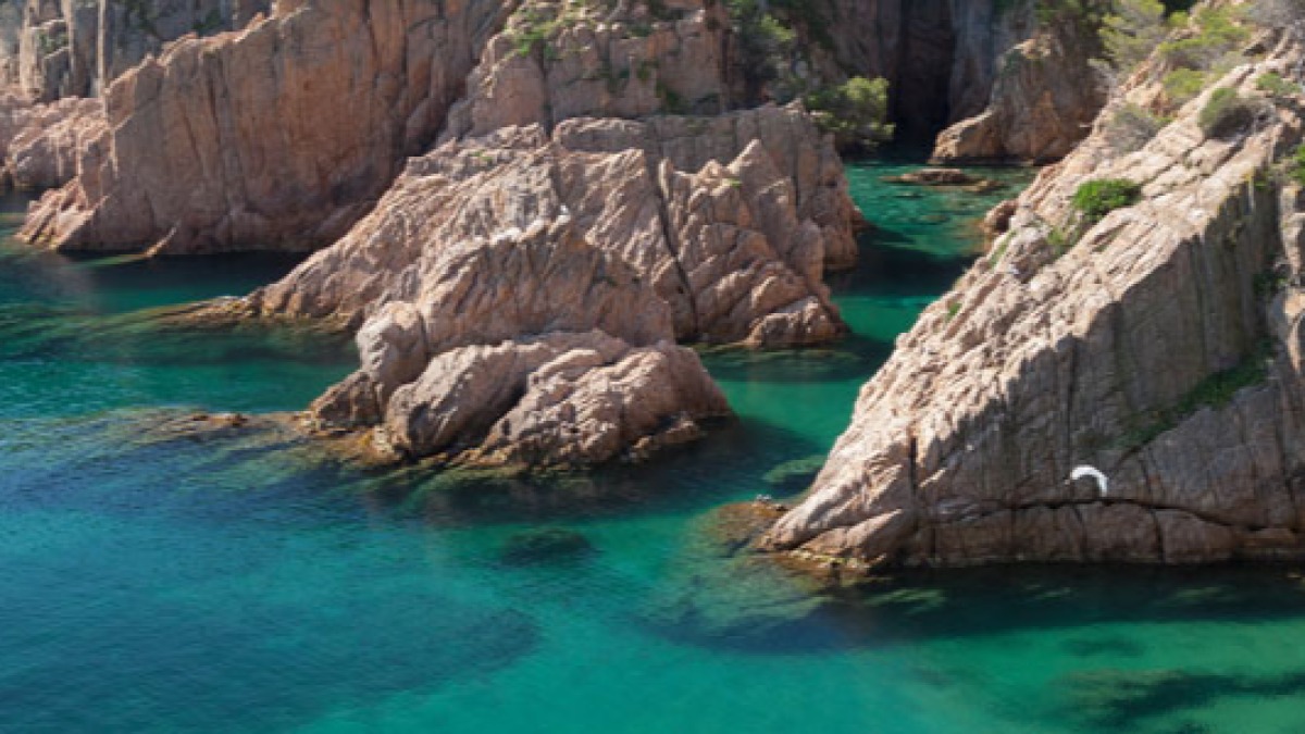 Cala d'es Cranc, Cala del Peix i Cala dels Mussols