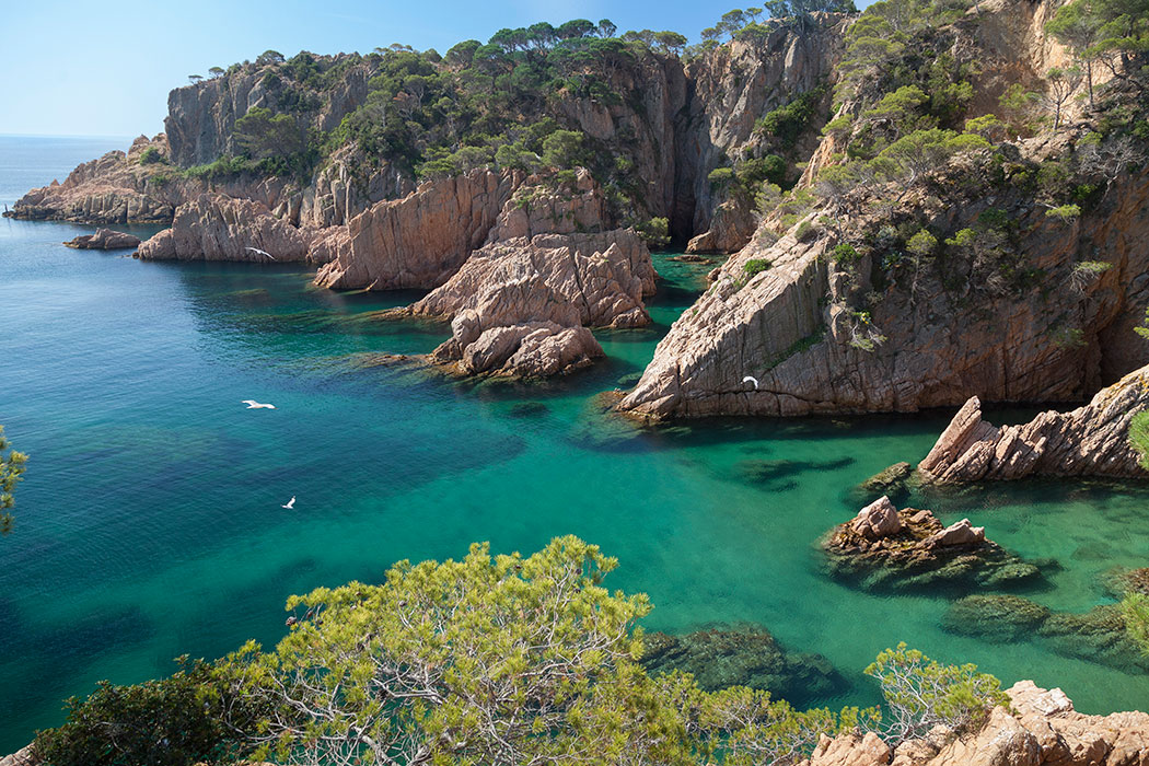 Cala d'es Cranc, Cala del Peix i Cala dels Mussols