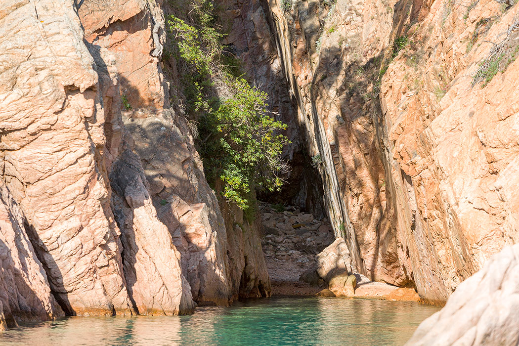 Cala d'es Cranc, Cala del Peix i Cala dels Mussols